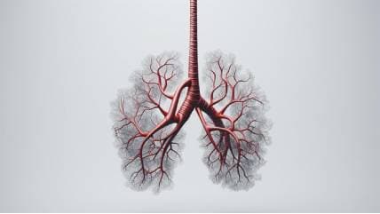Chronic Obstructive Pulmonary Disease (COPD)