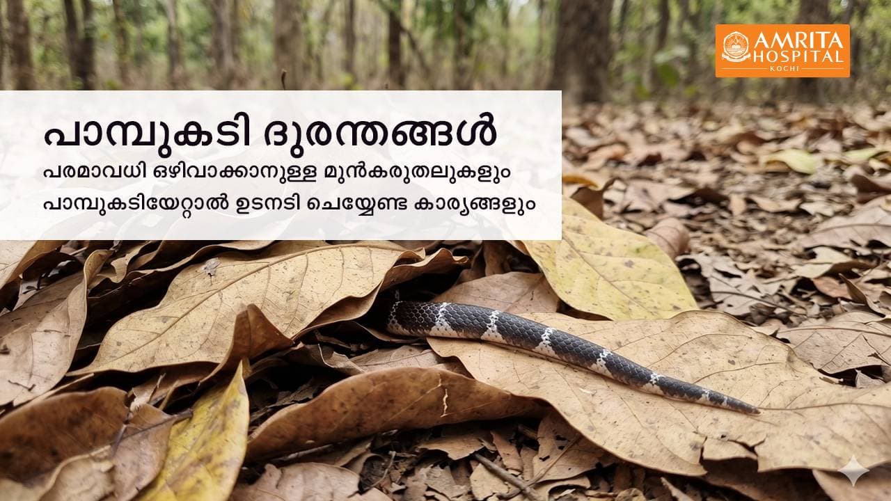 ജാഗ്രത വേണം!  പാമ്പുകടി തടയാം